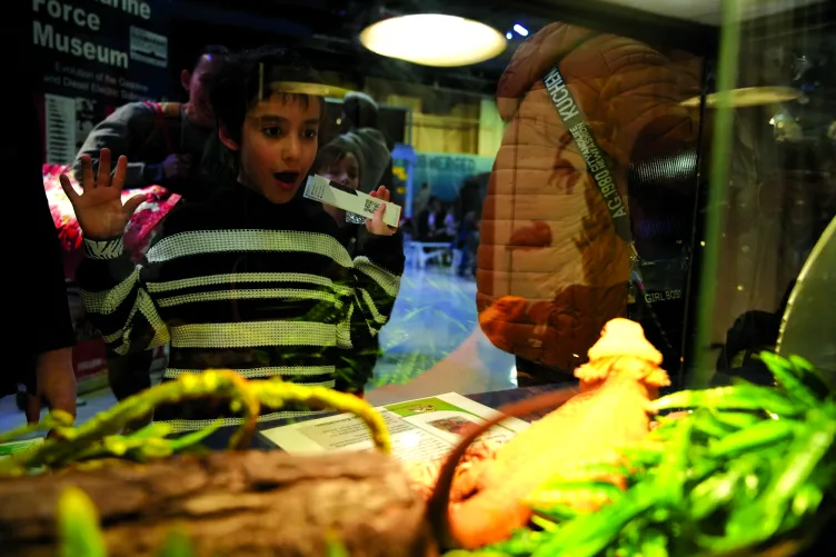 A young boy engaging in an interactive activity during Kids Week.